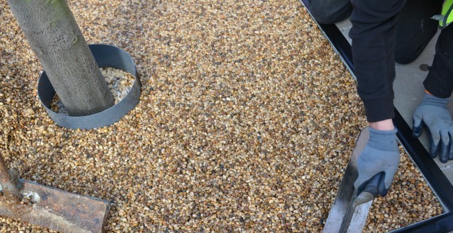 Resin Bound Tree Pits